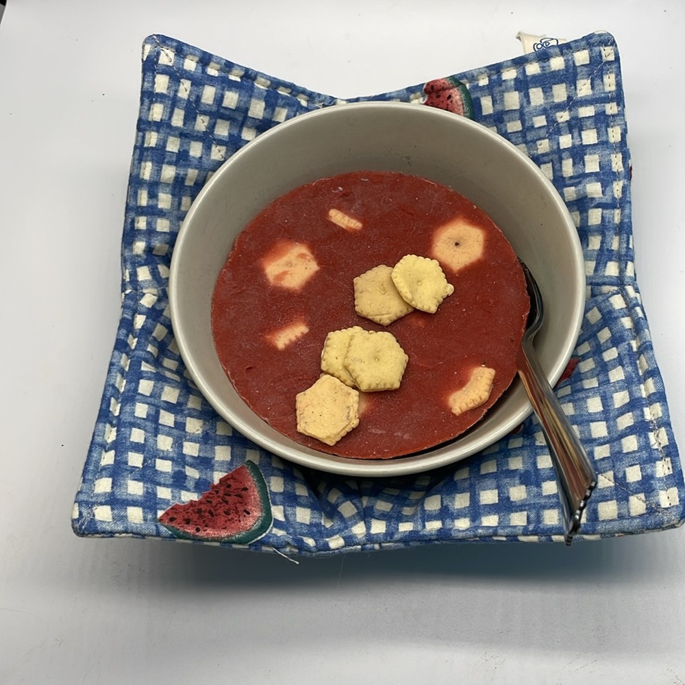 Watermelon Bowl Cozy Blue Checks